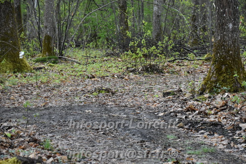 Trail _Chamerolles2026/CHM2026_0660.JPG